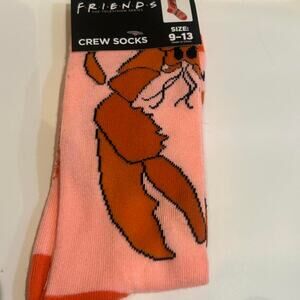 Friends youre my lobster socks
